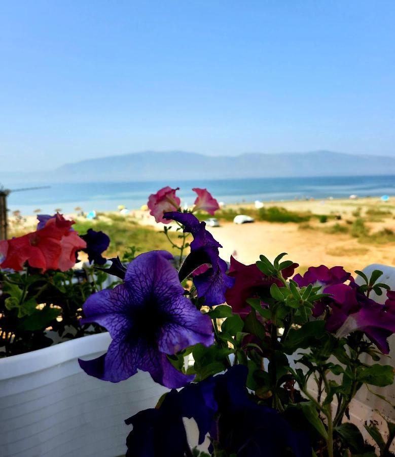 Antea Apartments 1-2 Vlorë 外观 照片